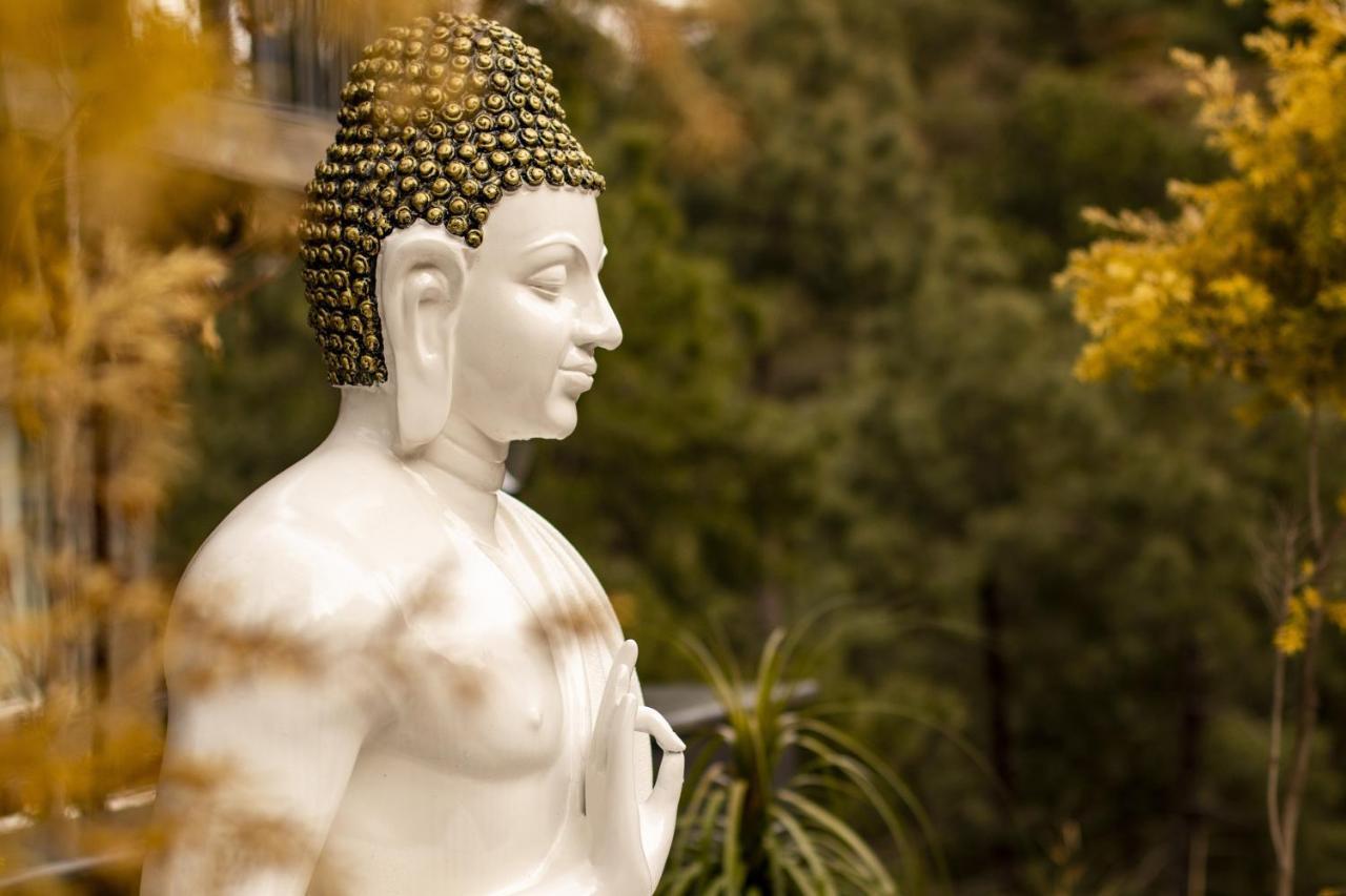 Golden Fern Resort シムラー エクステリア 写真